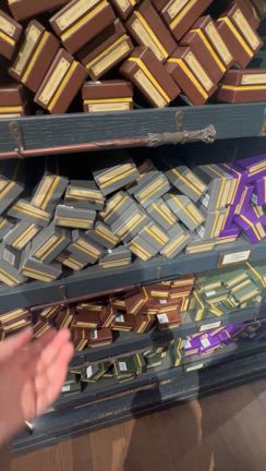 ハリーポッターの世界への記事動画