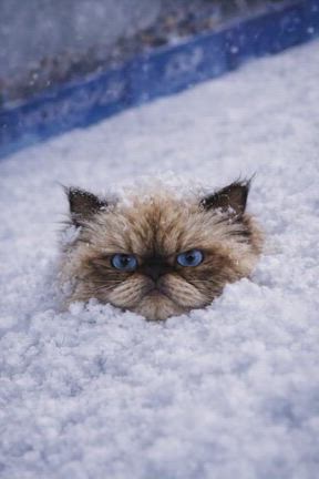 ちょっと慌ただしくしておりますの記事動画