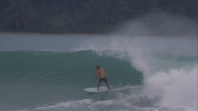 ジョシュカーがハモシェイプのDRAFT 