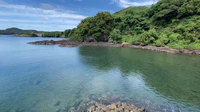 旅の思い出✨Day2の記事動画