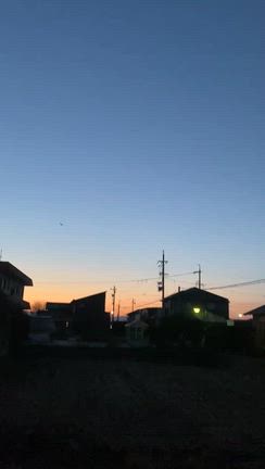 愛知県春日井市　コウモリ対策の記事動画