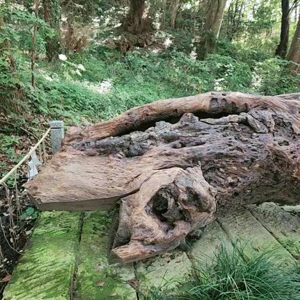 息栖神社　御岩神社　泉神社　鹿島神宮参拝いたしました!の記事動画