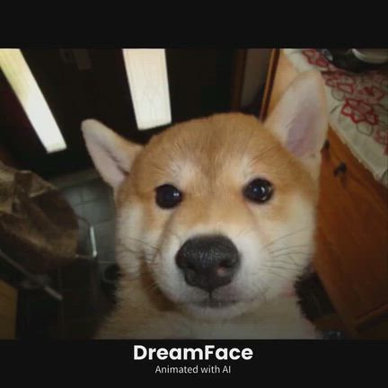 優しい子やねの記事動画