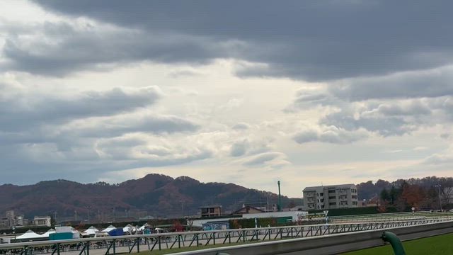 福島競馬。の記事動画