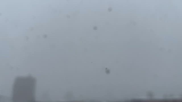 春はどこ？の記事動画