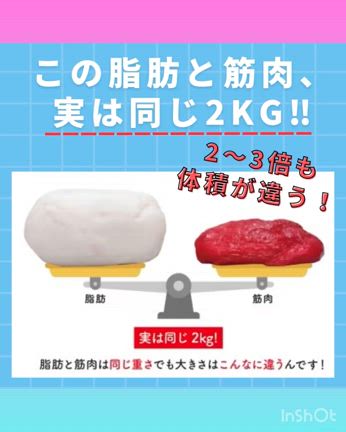 脂肪と筋肉では大きさが違う‼️の記事動画