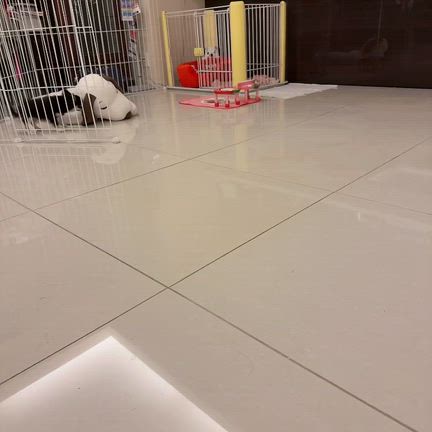 生まれ変わったルルが…の記事動画