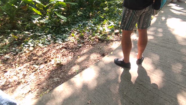 沖縄に行ってきた！三日目編の記事動画