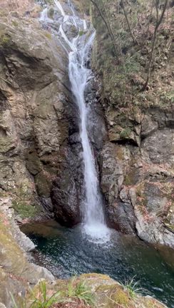 マイナスイオンとイオンスタイルとの記事動画