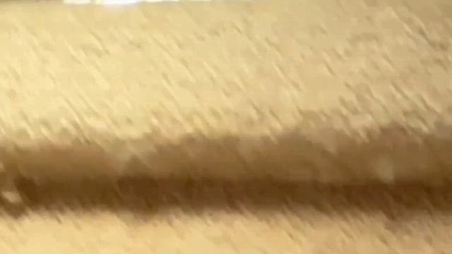 2025年もコツコツと活動していきます♪/ご支援への感謝♪の記事動画