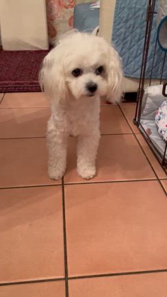 ましろさんとの記事動画