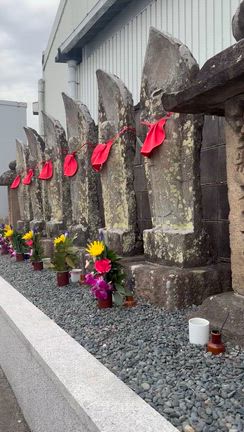 ☆おじいちゃんおばあちゃんに会いたい☆の記事動画