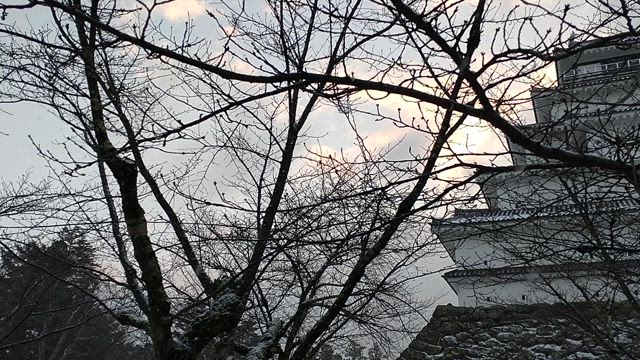 今日も歩く。の記事動画