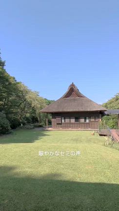 お散歩記録の記事動画