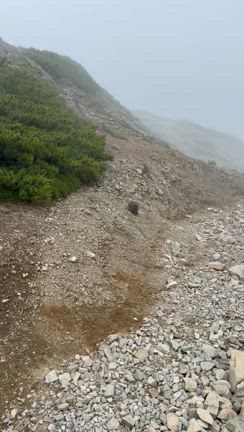 南アルプスの女王仙丈ヶ岳(まんじゅうろうツアー)の記事動画