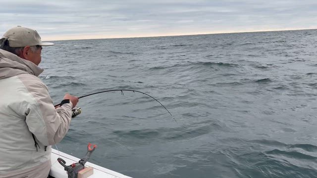 午後マダイ釣りは相変わらず好調♪の記事動画