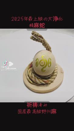 2025年最上級の大浄化 精麻蛇【巳年】誕生【オーダー受付】の記事動画