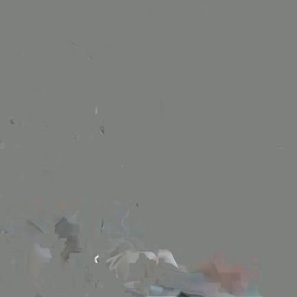 本日は仕事始めでした♡の記事動画