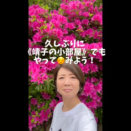 靖子の小部屋の記事動画