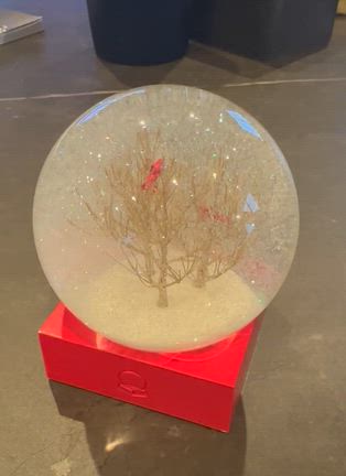 OSSANサンタからのプレゼントの記事動画