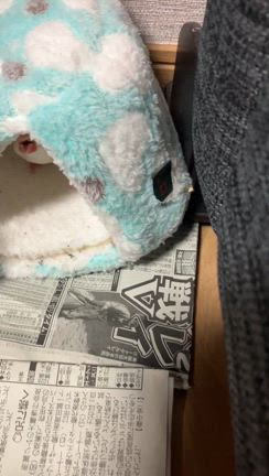 毎日の記事動画