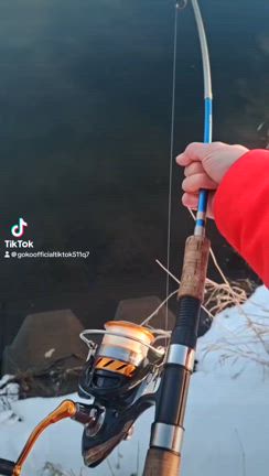 2025/01/30の記事動画