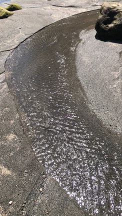 黒潮の大蛇行と天王星というお話しの記事動画