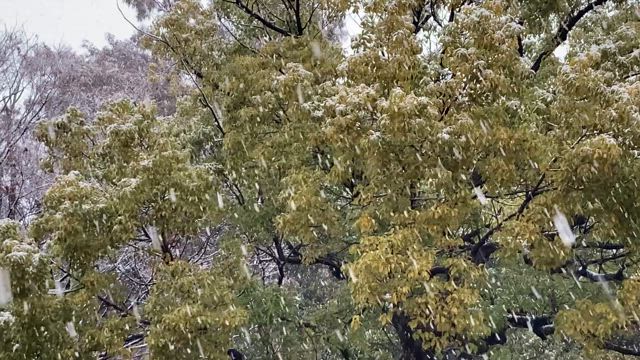 ■交通機関に大きな影響が出ています！ご注意を！の記事動画