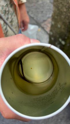 minne（ミンネ）を装う悪意の第三者からのメールとメッセージの記事動画