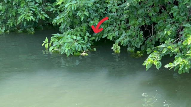 COIKE FULLCAST炸裂！…な話しの記事動画