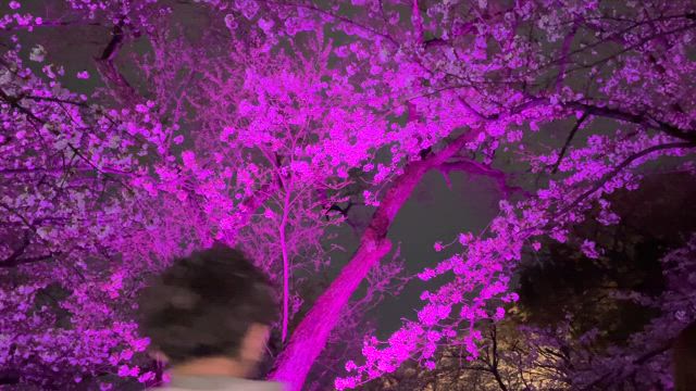 ご入学、ご進級の皆様の記事動画