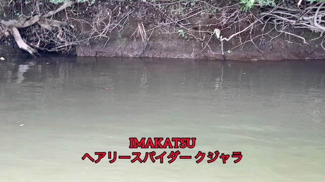 COIKE FULLCAST炸裂！…な話しの記事動画