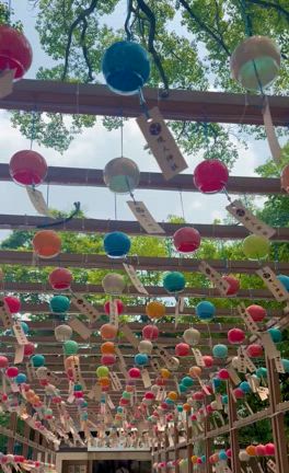 文月のお朔日参り（現人神社）の記事動画