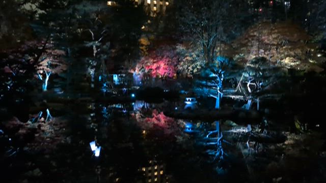 中島公園紅葉ライトアップ 〜さっぽろ秋さんぽ〜の記事動画