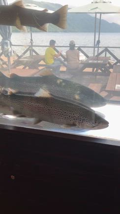 初めての登別クマ牧場の記事動画