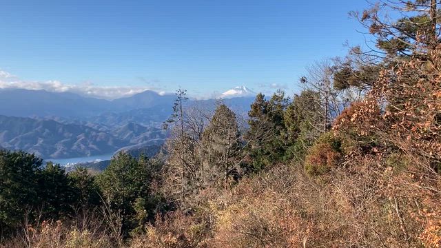 冬の高尾山ハイキング その4 12.16.2025 ①の記事動画