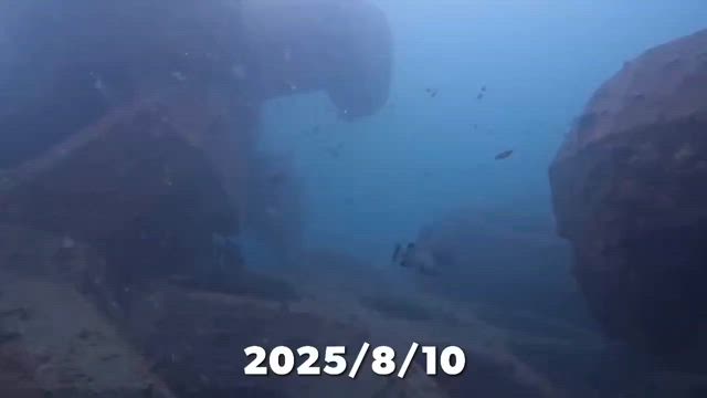 2025/08/20の記事動画