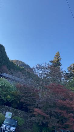 大分県国宝富貴寺&両子寺〜紅葉見物の記事動画