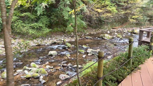【伊豆・東府や】足湯×パン×紅葉の癒し時間。犬OK！Bakery&amp;Table 東府や 足湯カフェの記事動画