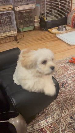 やっちゃんさんのプロフィールページ