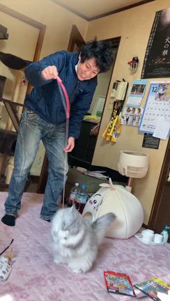 虎太郎からニャンコさんたちへのクリスマスプレゼントの記事動画