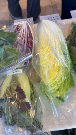 お野菜販売うれしき完売！の記事動画