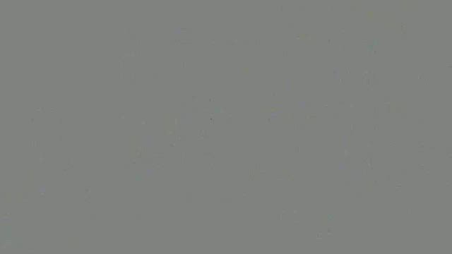 山伏の響きの記事動画