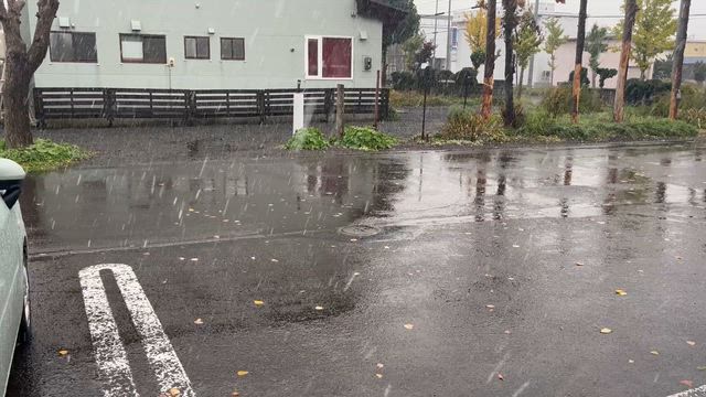 ちょっとやめてよー‼️泣の記事動画