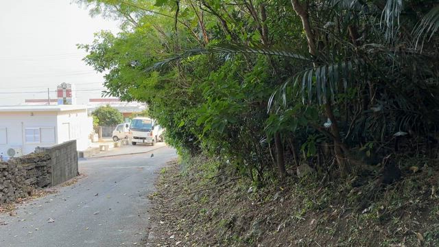 【お出かけ】のんびり伊平屋島。神様にご挨拶して島を巡るの記事動画
