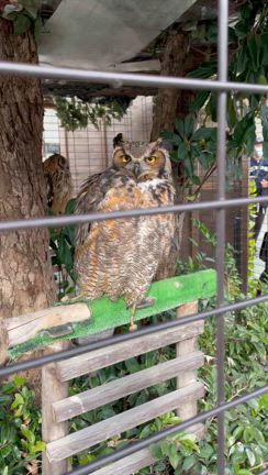 今年も一年ありがとうございました〜穏やかな終わりが近づく幸せ。の記事動画