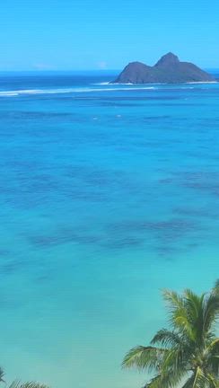 2025/12/08の記事動画