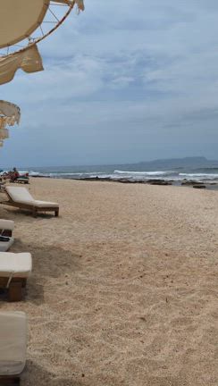 やっとのんびりの記事動画