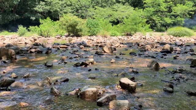 グルメハイキング「市ヶ原でワインとオードブルのピクニック」の記事動画