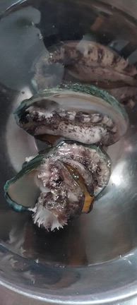 昨日の晩御飯「アワビの刺し身」「肉野菜炒め」「カボチャの煮付け」の記事動画